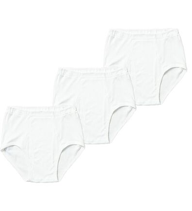 「【３枚組】＜ＧＵＮＺＥ&times;ベルーナ＞素肌の匠（Ｒ）日本製綿１００％インナー　ブリーフ（メンズブリーフパンツ）」