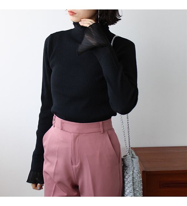 GeeRA（ジーラ）の「プリーツ付ハイネックリブニットトップス（ニット・セーター）」｜詳細画像