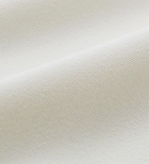 GeeRA（ジーラ）の「フリル衿バルーンスリーブブラウス（ブラウス）」｜詳細画像