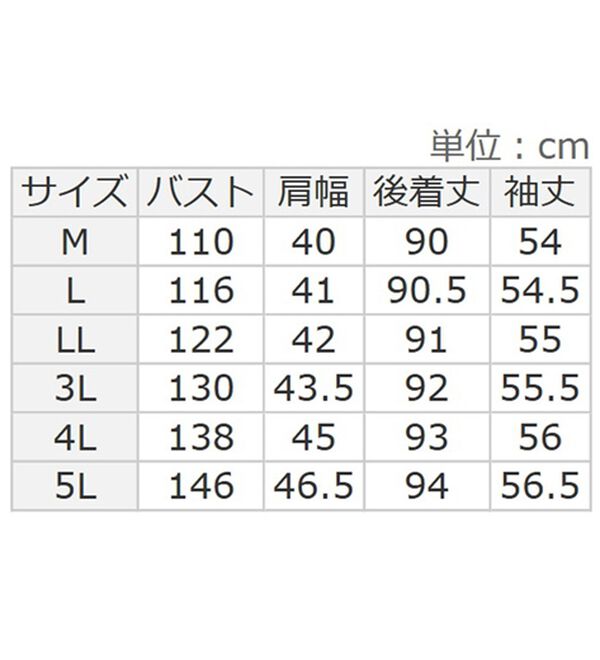BELLUNA（ベルーナ）の「フード切替シャツチュニック（シャツ）」｜詳細画像