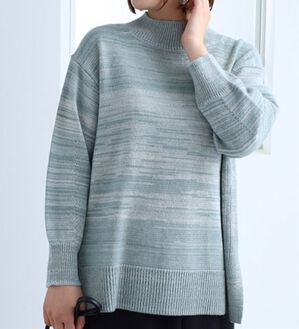 BELLUNA（ベルーナ）の「かすり調ハイネックニットチュニック（ニット・セーター）」｜詳細画像