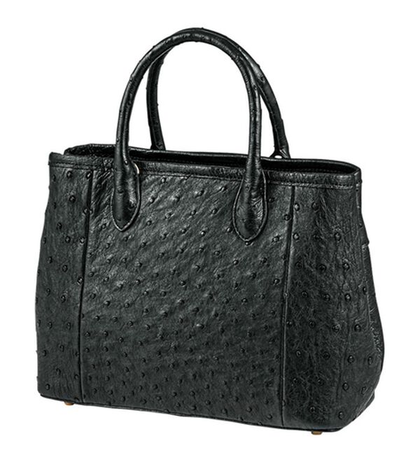 ルフラン（ルフラン）の「ロダニアオーストリッチコレクション（ハンドバッグ）」｜詳細画像