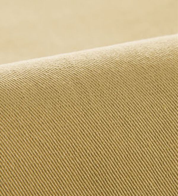 BELLUNA（ベルーナ）の「【ＰＯＬＯ　ＢＣＳ】綿チノパンツ（フルレングスパンツ）」｜詳細画像