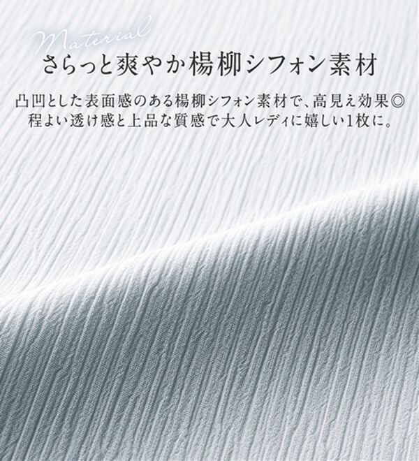 alotta（アロッタ）の「楊柳シフォン袖フリルブラウス（ブラウス）」｜詳細画像