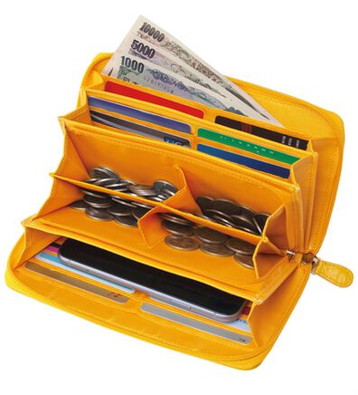 「スマホが入る３６枚カード多機能財布（財布・パスケース）」