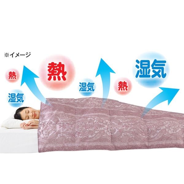 「洗えるホワイトダックダウン羽毛肌布団（掛布団）」｜詳細画像