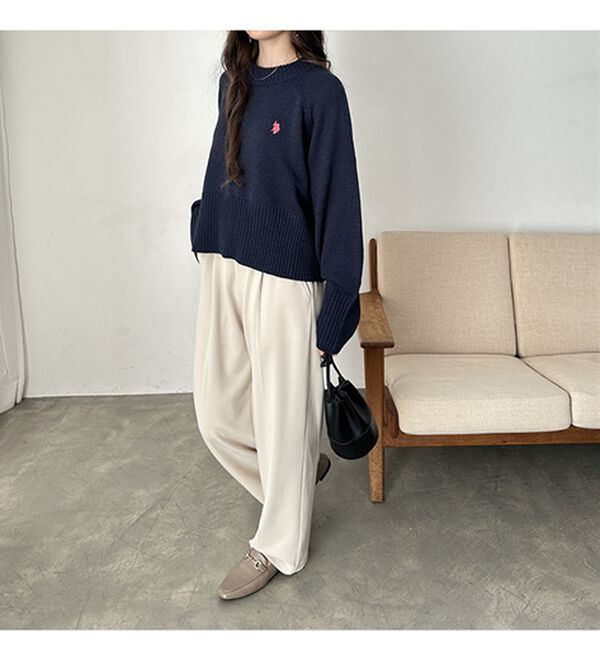 GeeRA（ジーラ）の「【ＵＳ．ＰＯＬＯ　ＡＳＳＮ】ショート丈ニット（ニット・セーター）」｜詳細画像