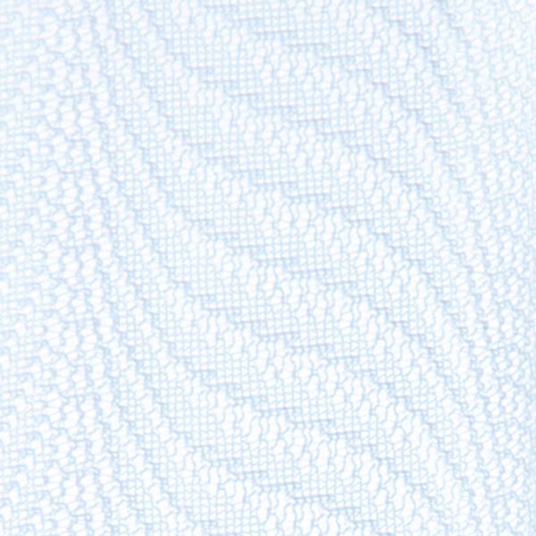 「お買い得！４柄から選べるレースカーテン（レースカーテン）」｜詳細画像