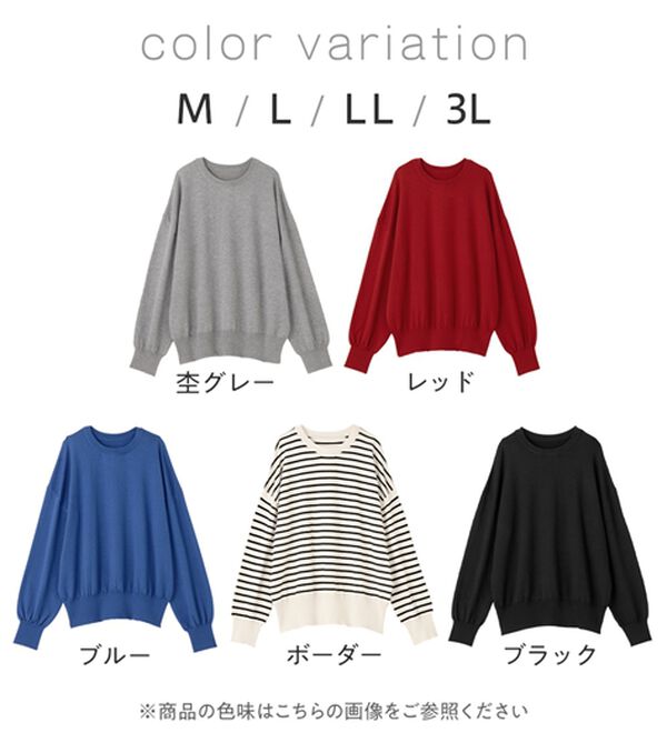 Viola e Viola（ヴィオラ エ ヴィオラ）の「【洗えるニット】着回し力抜群！秋から着られるシンプルニットトップス（ニット・セーター）」｜詳細画像