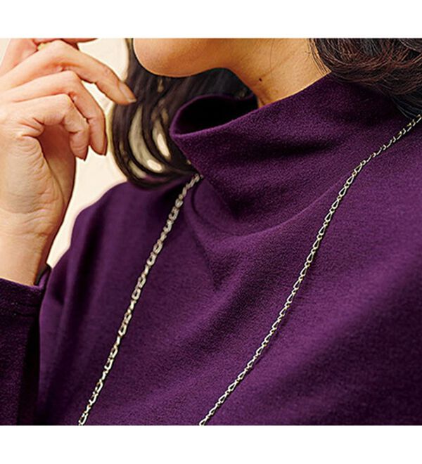 BELLUNA（ベルーナ）の「吸湿発熱ハイネックプルオーバー（カットソー）」｜詳細画像