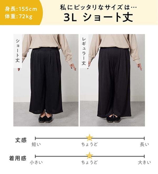 Viola e Viola（ヴィオラ エ ヴィオラ）の「楽ちんきれい美脚ワイドパンツ（ワイドパンツ・ガウチョ）」｜詳細画像