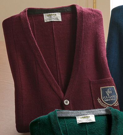 「刺しゅうポケット付ベスト（メンズニット・セーター）」