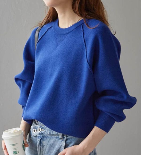 青 Vネック リバーシブル トレーナーセーター ランバン レディースML