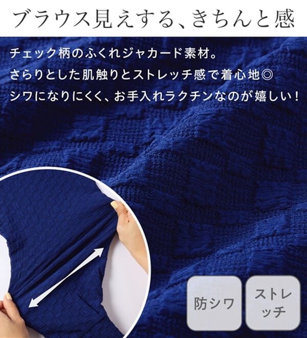 Viola e Viola（ヴィオラ エ ヴィオラ）の「ふくれジャカード素材ふんわり袖トップス（カットソー）」｜詳細画像