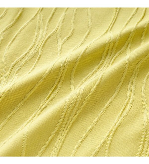 GeeRA（ジーラ）の「カットジャガードフレンチスリーブＴシャツ（カットソー）」｜詳細画像