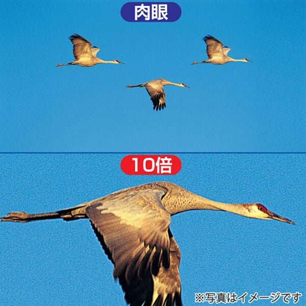 「デジタル双眼鏡（その他日用品・趣味雑貨）」｜詳細画像