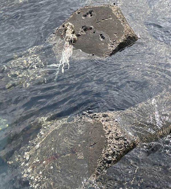 「森田さんの偏光レンズ採用オーバーグラス（メンズスポーツ用品）」｜詳細画像