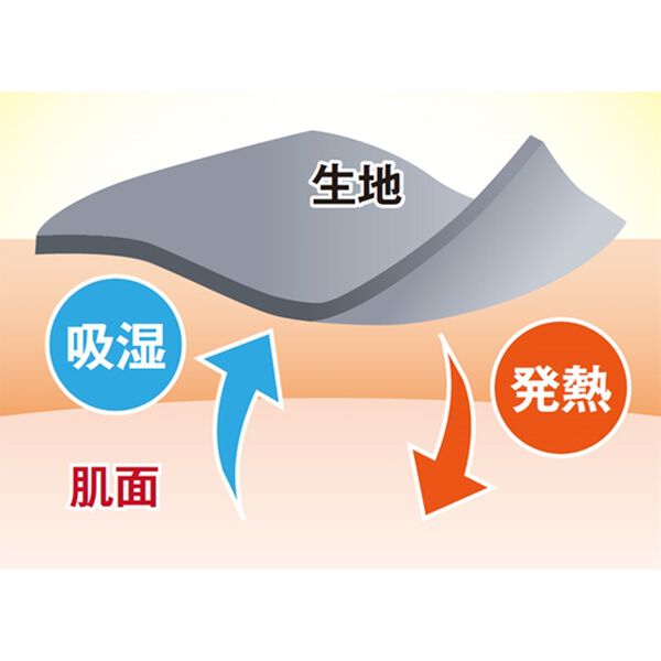 BELLUNA（ベルーナ）の「ハピネスコットン１００％ニットリブ温活レギンス（スパッツ・レギンス）」｜詳細画像