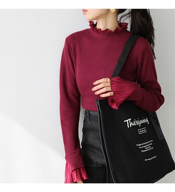 GeeRA（ジーラ）の「プリーツ付ハイネックリブニットトップス（ニット・セーター）」｜詳細画像