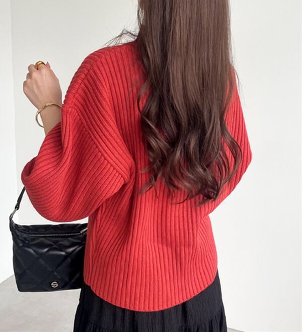 GeeRA（ジーラ）の「袖ボタンボトルネックリブニット（ニット・セーター）」｜詳細画像