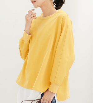BELLUNA（ベルーナ）の「裏起毛素材きれい見えドルマンプルオーバー（カットソー）」｜詳細画像