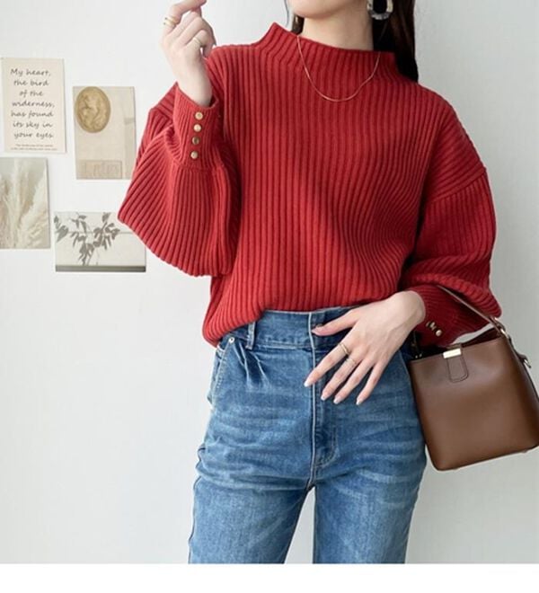 GeeRA（ジーラ）の「袖ボタンボトルネックリブニット（ニット・セーター）」｜詳細画像