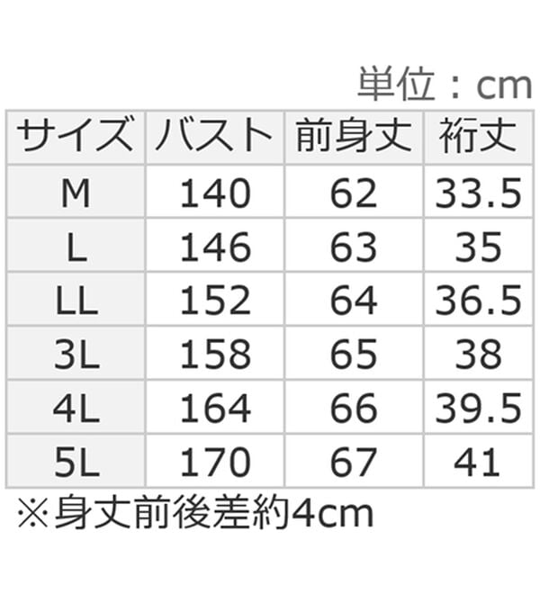 alotta（アロッタ）の「ひんやりタックデザインＴシャツ（カットソー）」｜詳細画像