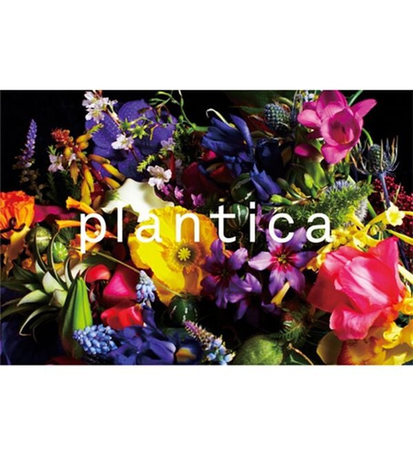 ルフラン（ルフラン）の「＜ｐｌａｎｔｉｃａ＞ニットドッキングワンピ（ニットワンピース）」｜詳細画像