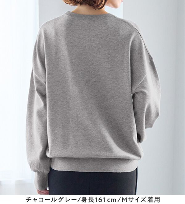 Viola e Viola（ヴィオラ エ ヴィオラ）の「【洗えるニット】着回し力抜群！秋から着られるシンプルニットトップス（ニット・セーター）」｜詳細画像