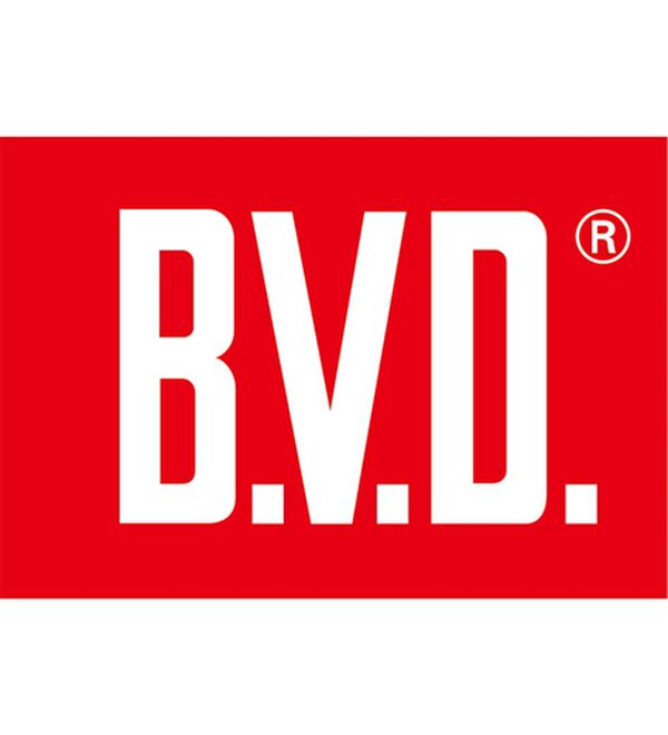 LAVIENNE（ラヴィエンヌ）の「＜Ｂ．Ｖ．Ｄ＞ホールドハーフトップブラ（ブラジャー）」｜詳細画像