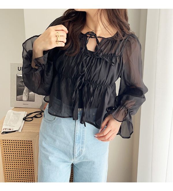 GeeRA（ジーラ）の「オーガンジーシアーブラウス（ブラウス）」｜詳細画像