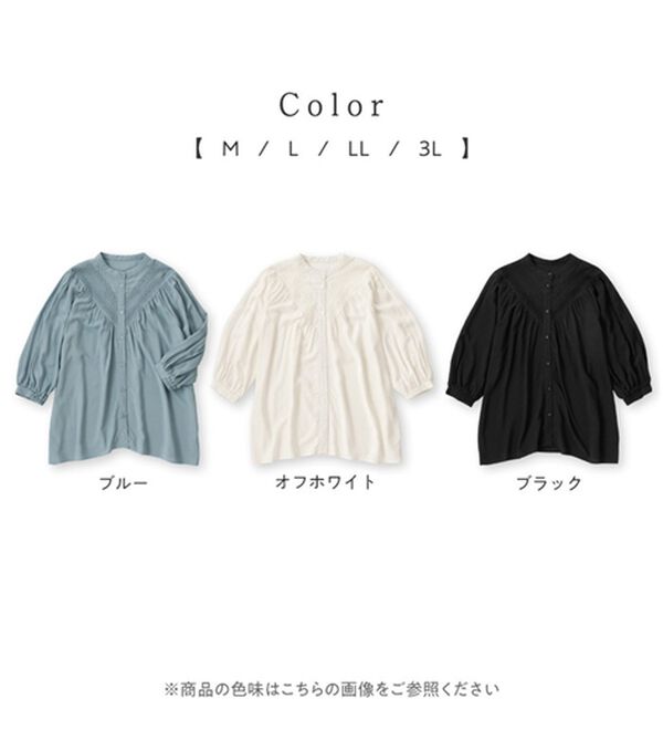 Viola e Viola（ヴィオラ エ ヴィオラ）の「Ｖ切替レースデザインブラウス（ブラウス）」｜詳細画像