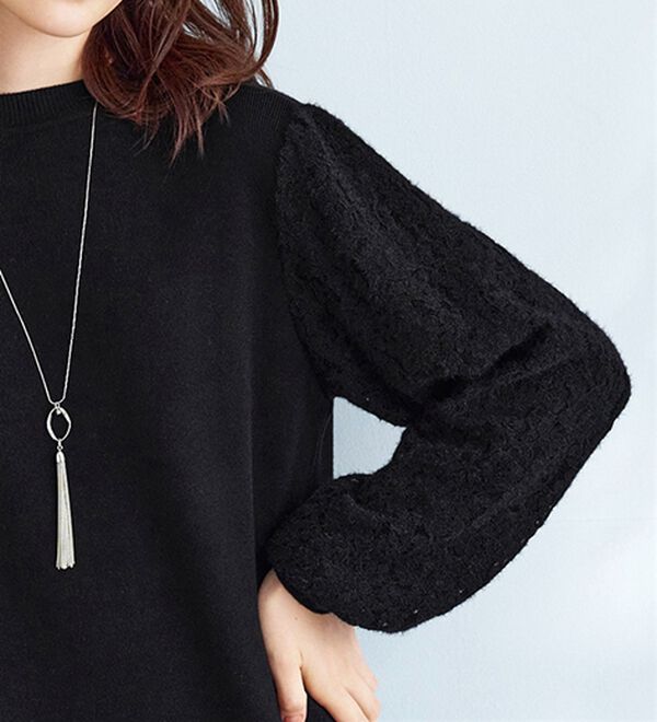 BELLUNA（ベルーナ）の「袖起毛レースニットプルオーバー（ニット・セーター）」｜詳細画像