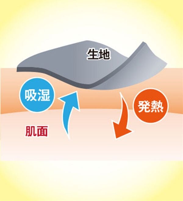 BELLUNA（ベルーナ）の「【メルティポンチ】保湿加工着回しプルオーバー（カットソー）」｜詳細画像
