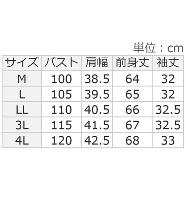 ルフラン（ルフラン）の「抗菌防臭衿つきコットン１００％プルオーバー（カットソー）」｜詳細画像