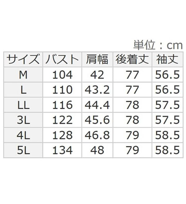 BELLUNA（ベルーナ）の「裏フリース素材ネコ刺しゅうシャツチュニック（チュニック）」｜詳細画像