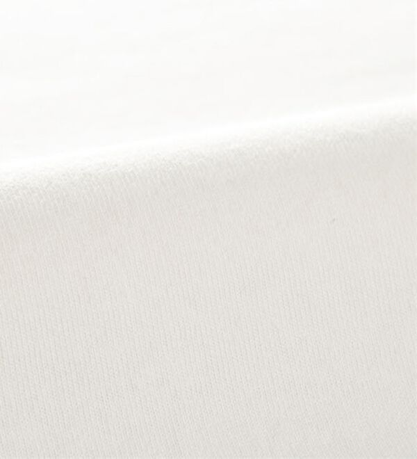 BELLUNA（ベルーナ）の「【ＦＲＵＩＴ　ＯＦ　ＴＨＥ　ＬＯＯＭ】レトロロゴビックＴシャツ（カットソー）」｜詳細画像