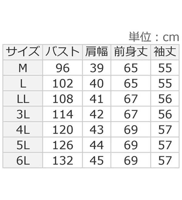 ルフラン（ルフラン）の「ナノプラチナ加工長袖ポロシャツ（ポロシャツ）」｜詳細画像