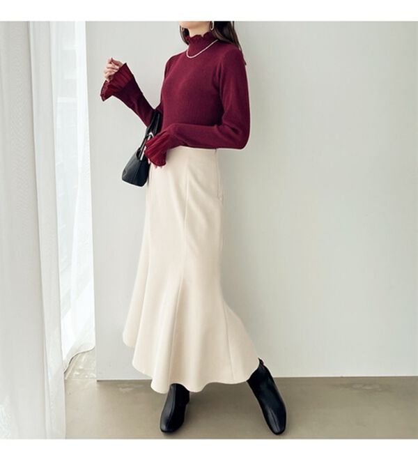 GeeRA（ジーラ）の「プリーツ付ハイネックリブニットトップス（ニット・セーター）」｜詳細画像