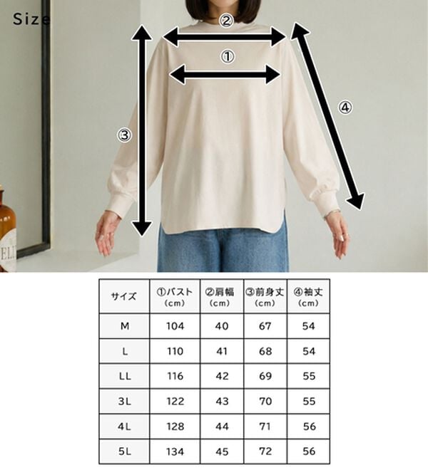 BELLUNA（ベルーナ）の「綿１００腰まわりゆったりリブデザインチュニック（カットソー）」｜詳細画像