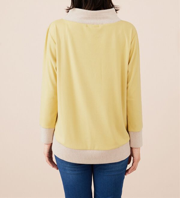 BELLUNA（ベルーナ）の「ワイドネックデザイン配色切替プルオーバー（カットソー）」｜詳細画像