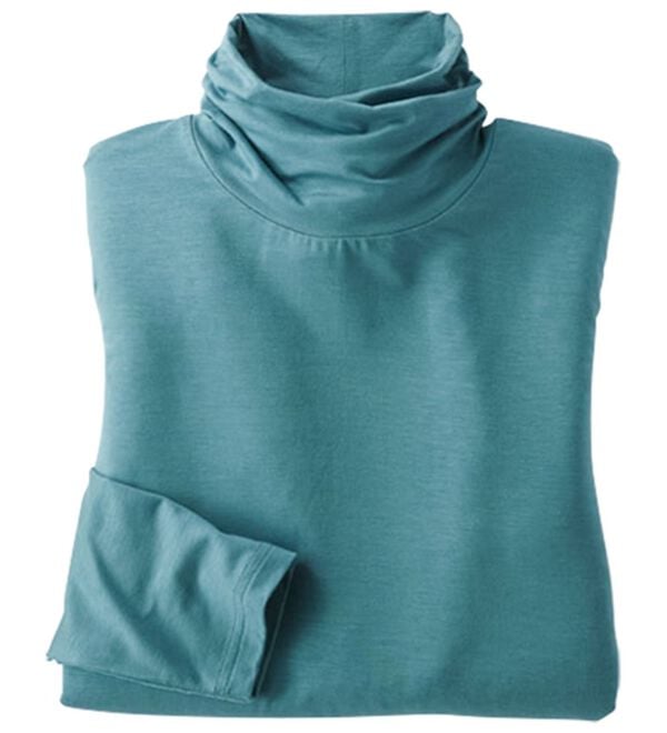 BELLUNA（ベルーナ）の「なめらかテンセル（ＴＭ）繊維ストレッチプルオーバー（カットソー）」｜ストームブルー