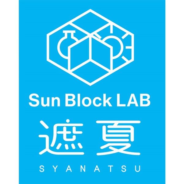 「【遮夏】生地使用　車のサイドカーテン２枚組（レジャー・カー用品）」｜詳細画像