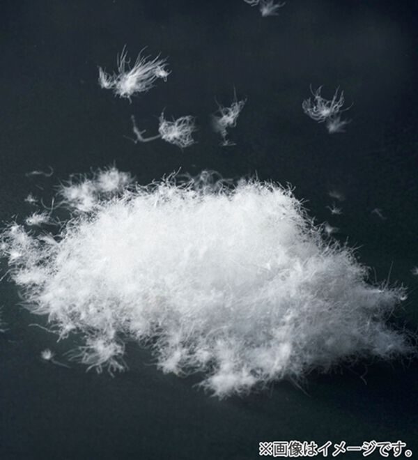 「こだわり品質！丸八真綿ダウンレイヤードコート（メンズコート）」｜詳細画像