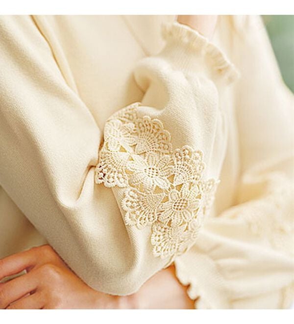 BELLUNA（ベルーナ）の「袖レースデザインニットプルオーバー（ニット・セーター）」｜詳細画像