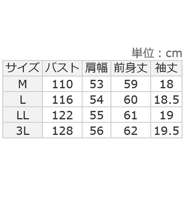 Viola e Viola（ヴィオラ エ ヴィオラ）の「ほんのり透け感綿混セミシアートップス（カットソー）」｜詳細画像