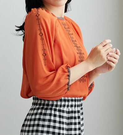 BELLUNA（ベルーナ）の「シフォン素材刺しゅうデザインブラウス（ブラウス）」
