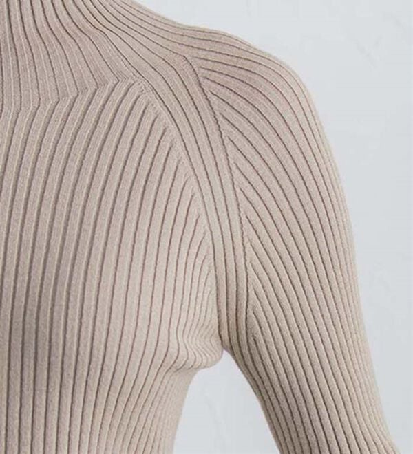 Pierrot（ピエロ）の「着回しストレッチリブハイネックニット（ニット・セーター）」｜詳細画像