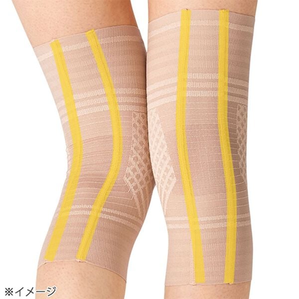 「極薄ひざＷライン構造サポーター２枚組（サポーター・肩腰膝ケア）」｜詳細画像