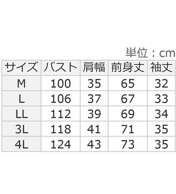 ルフラン（ルフラン）の「【２色組】【ＡＡＰ】重ね着風ブラウス（アンサンブル）」｜詳細画像